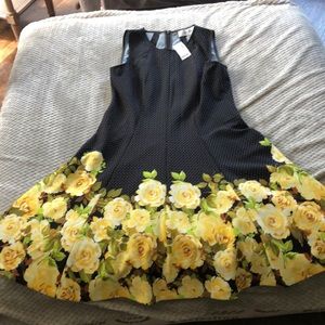NWT! Jones Studio size 6 dress!